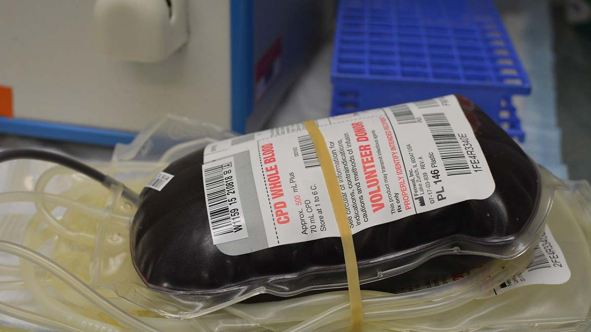 Ανάγκη αιμοπεταλίων στην Αλεξανδρούπολη: κάλεσμα για αιμοδοσία από το νοσοκομείο Κομοτηνής