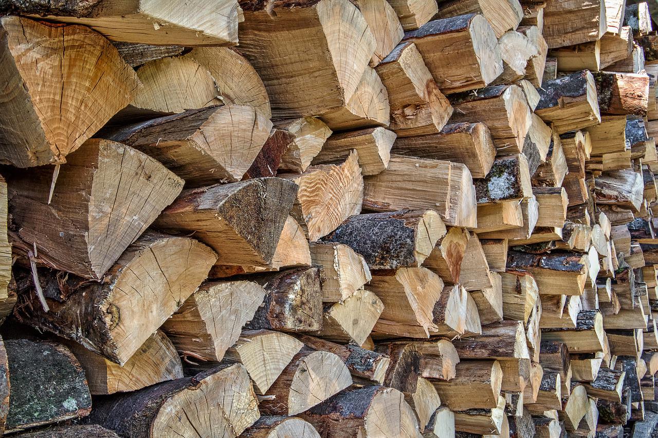 Ξεκίνησε η ζήτηση για ξύλο – Ποια είναι τα επίπεδα τιμών φέτος;