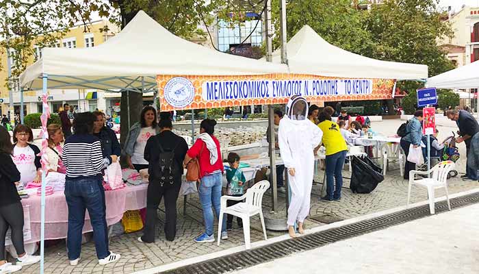 bal soleni gumulcine 2019