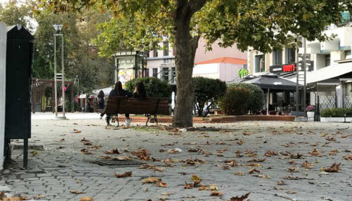 Köpekler Gümülcine meydanında genç kızı ısırdı